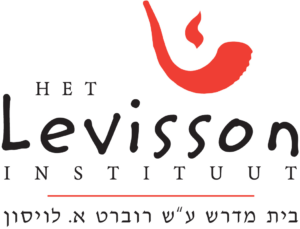 Levisson logo def